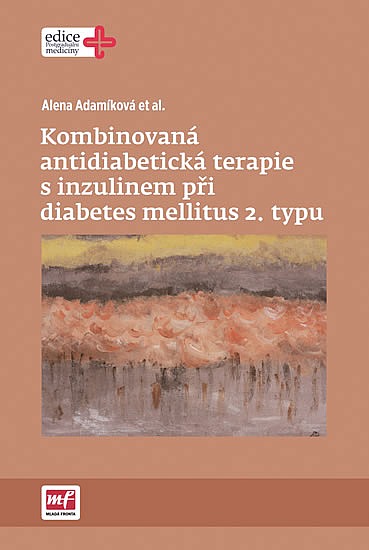 Kombinovaná antidiabetická terapie s inzulinem při diabetes mellitus 2. typu