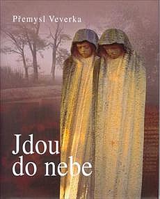 Jdou do nebe