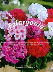 Pelargonie