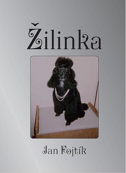 Žilinka