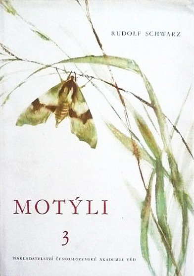 Motýli 3