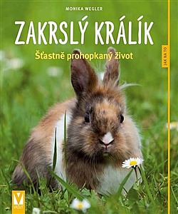 Zakrslý králík