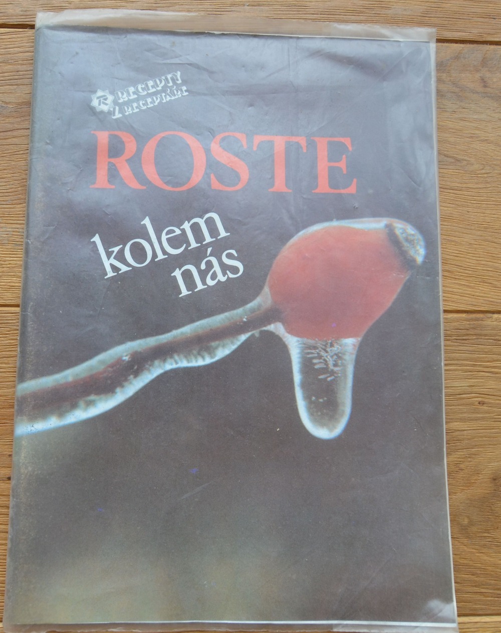 Roste kolem nás