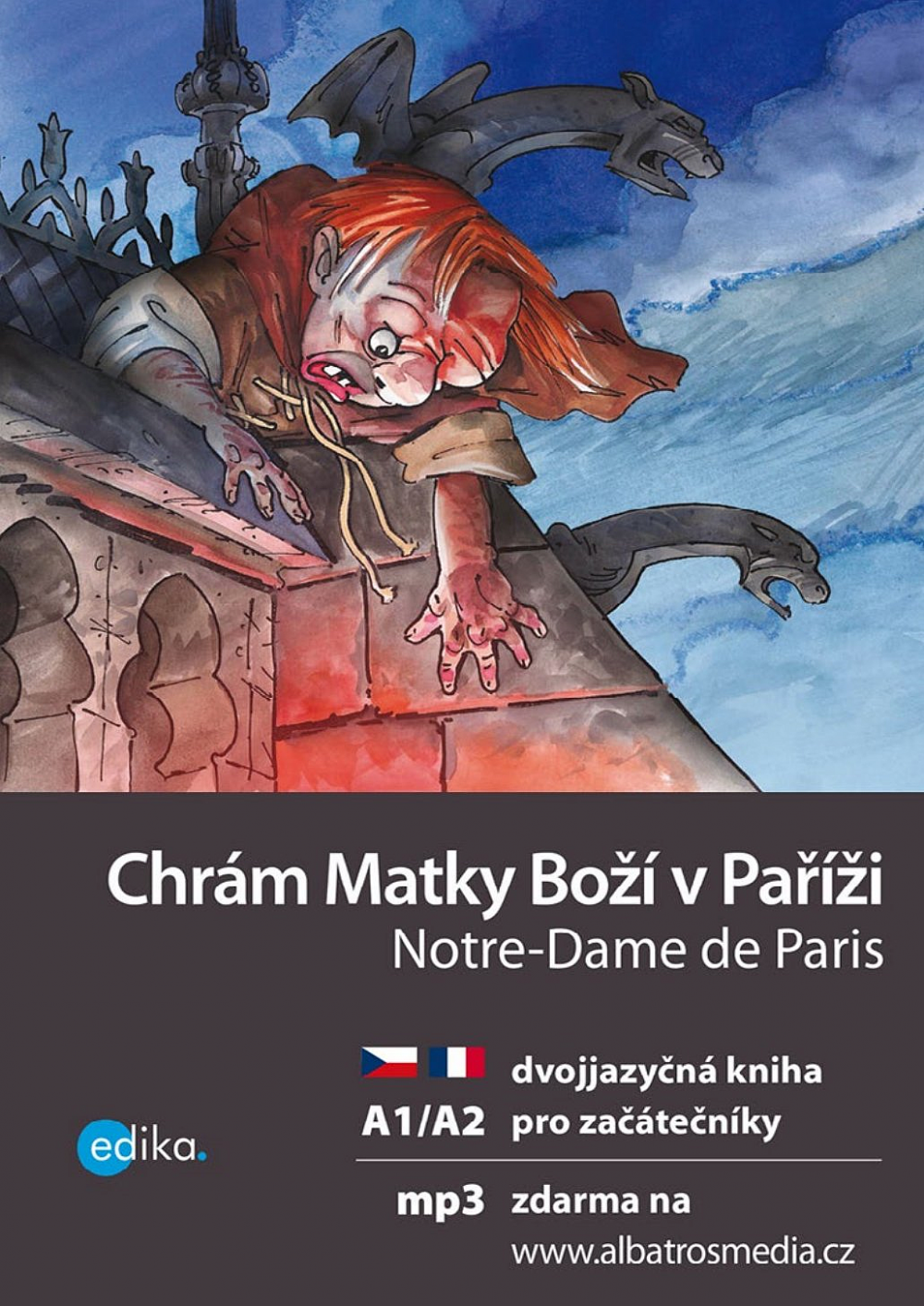 Chrám Matky Boží v Paříži / Notre-Dame de Paris