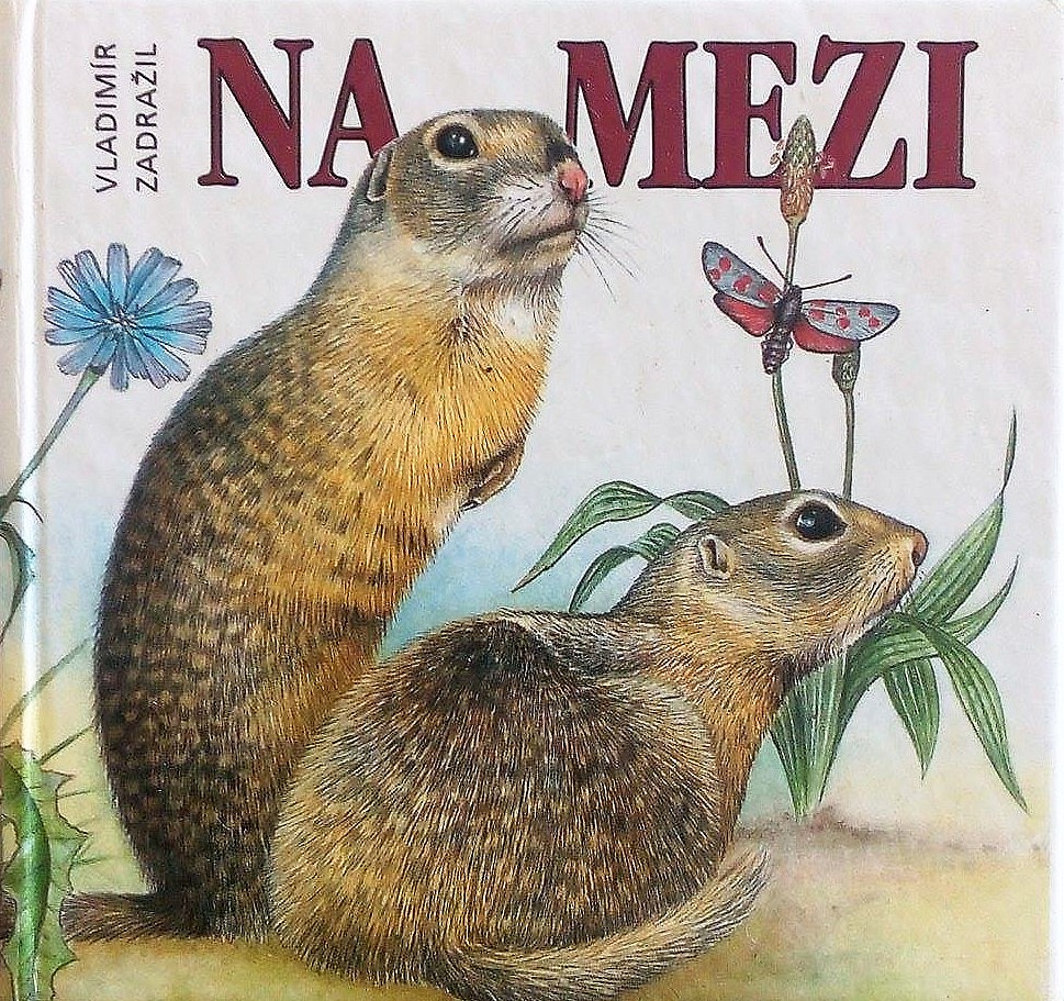 Na mezi