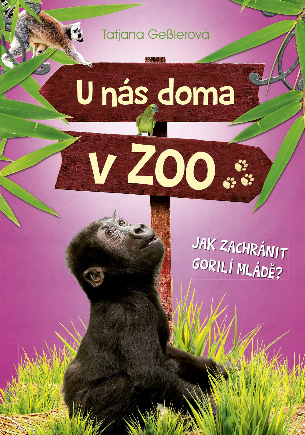 U nás doma v ZOO: Jak zachránit gorilí mládě?