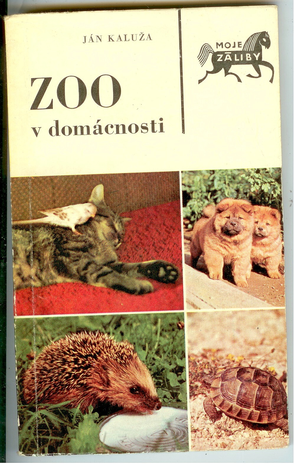 Zoo v domácnosti