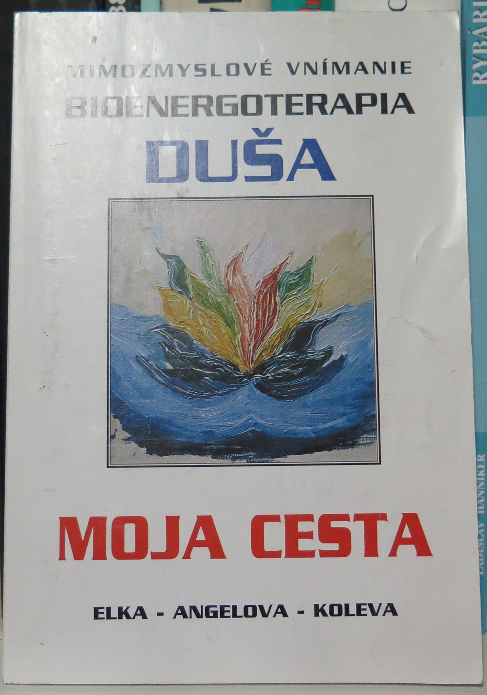 Moja cesta