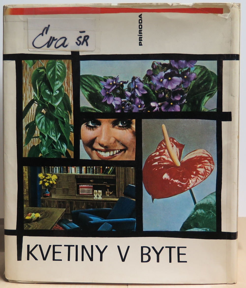 Kvetiny v byte