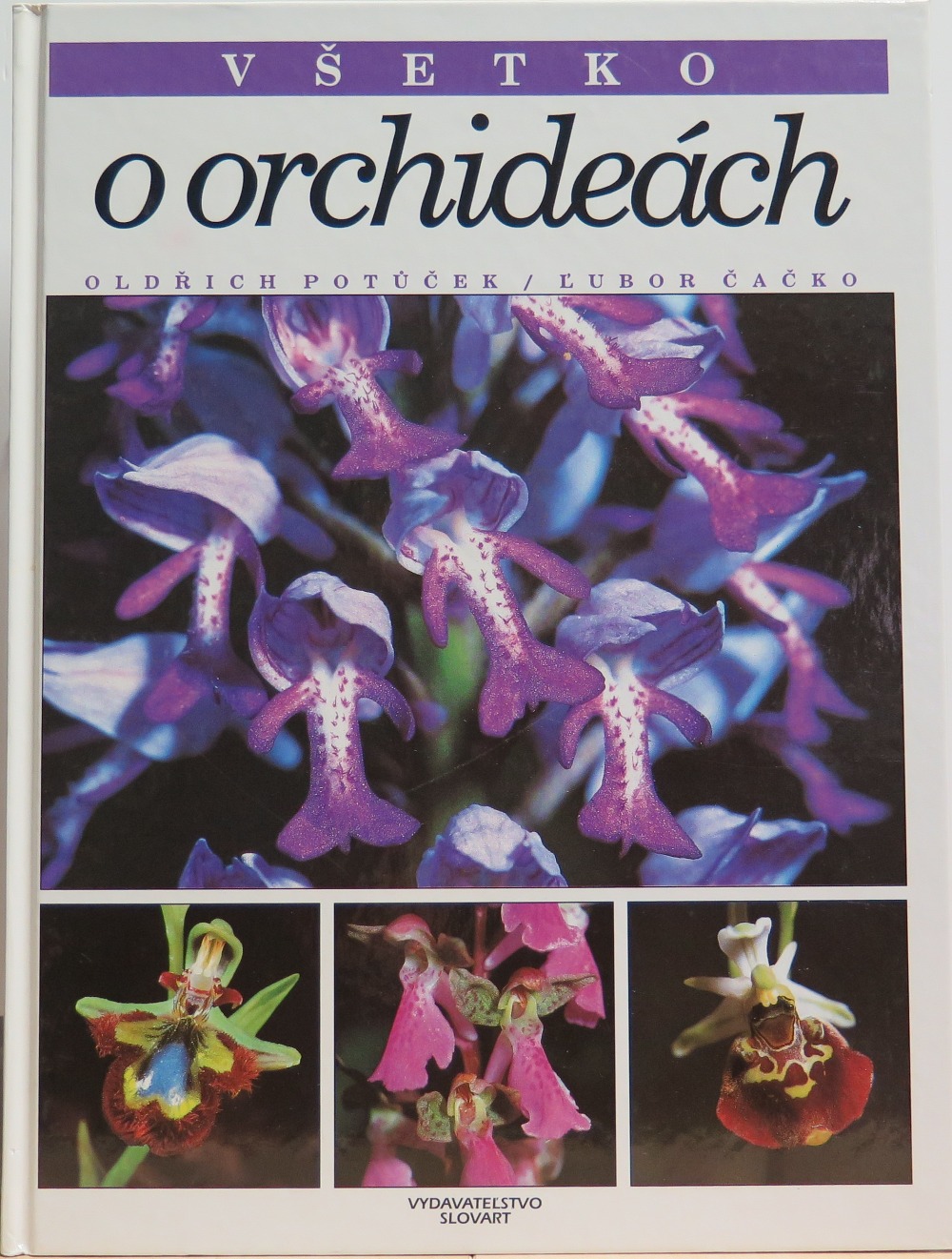 Všetko o orchideách