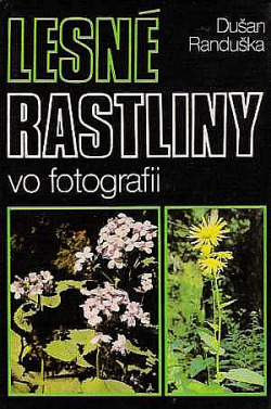 Lesné rastliny vo fotografii