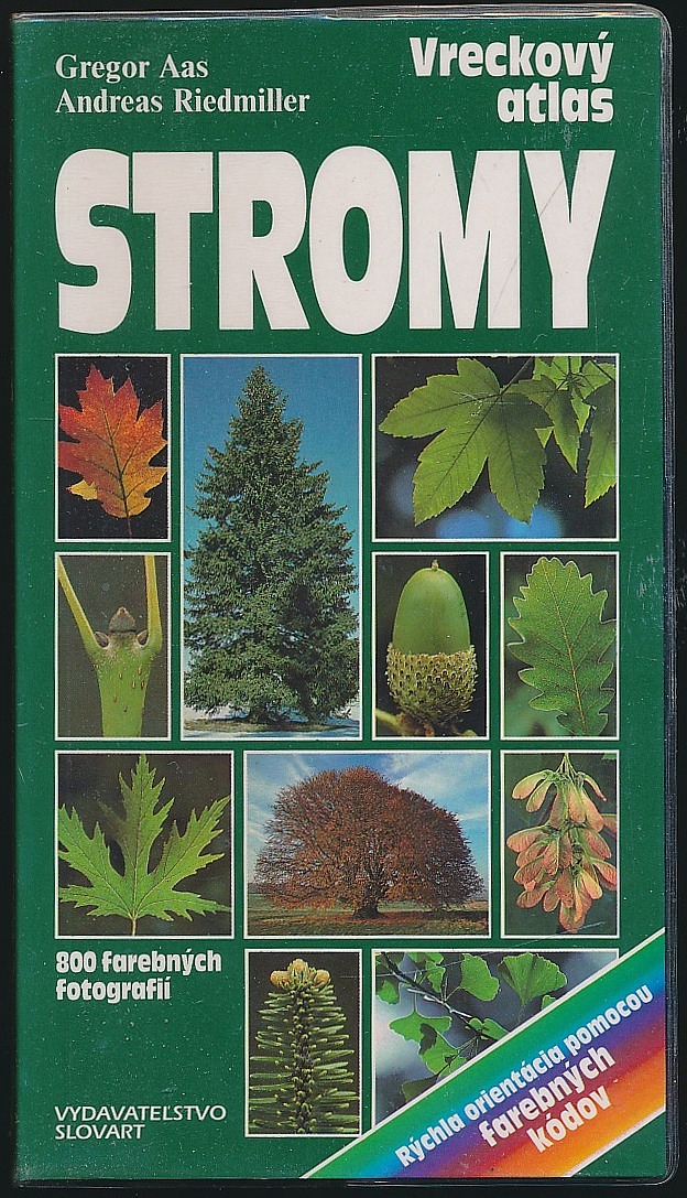 Stromy