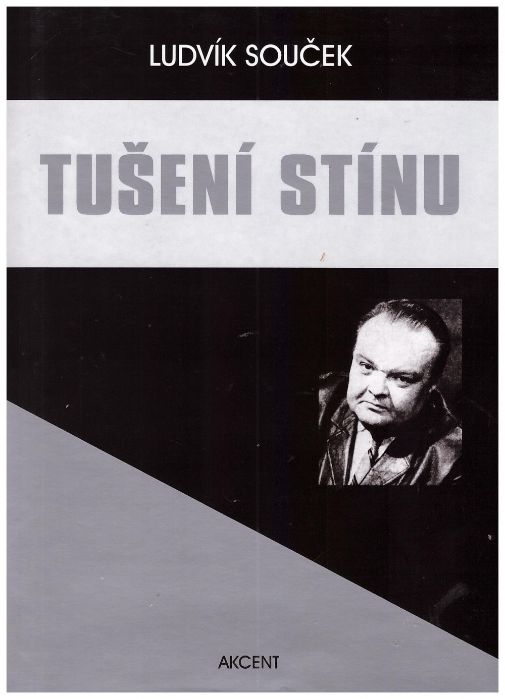 Tušení stínu