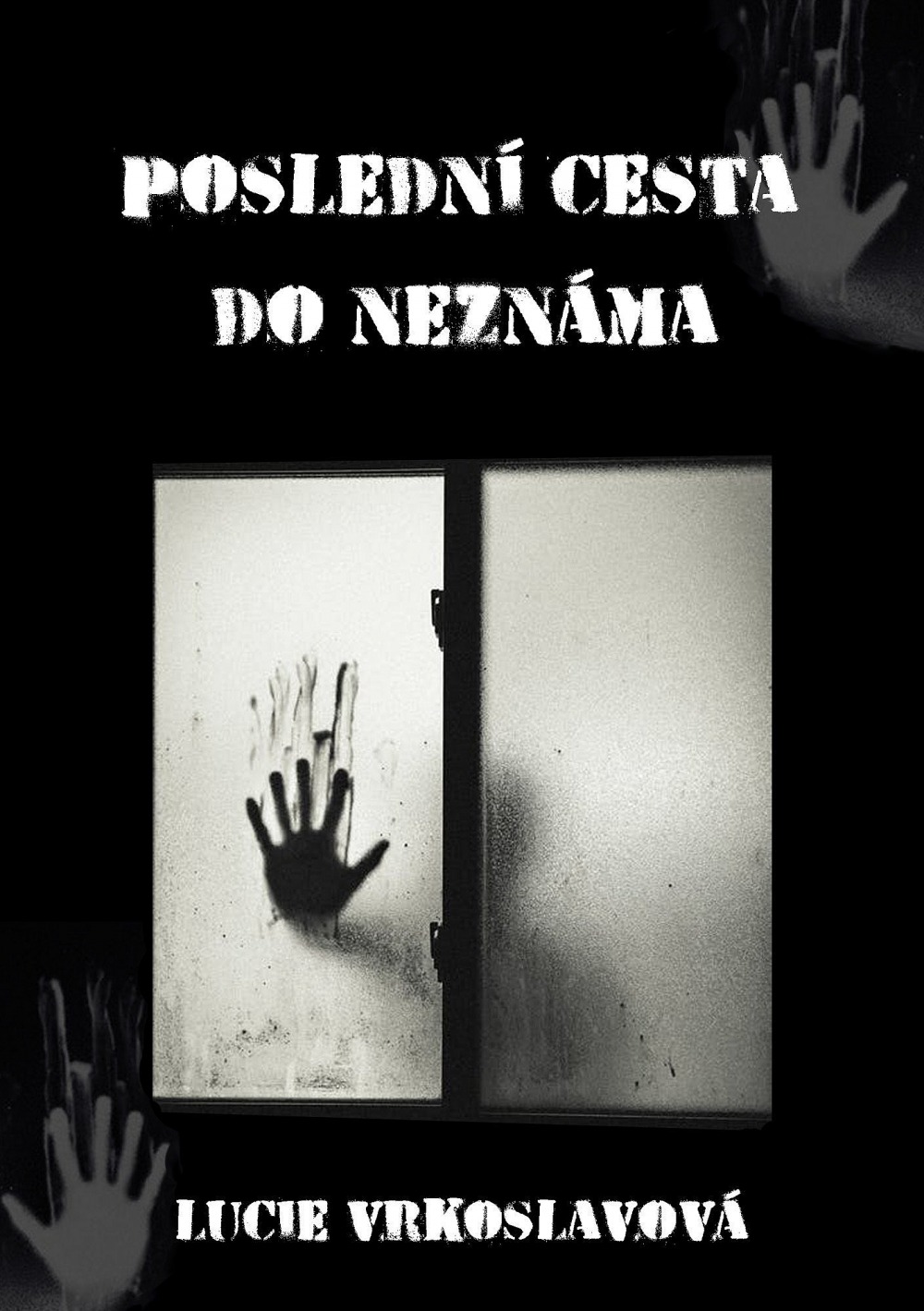 Poslední cesta do neznáma