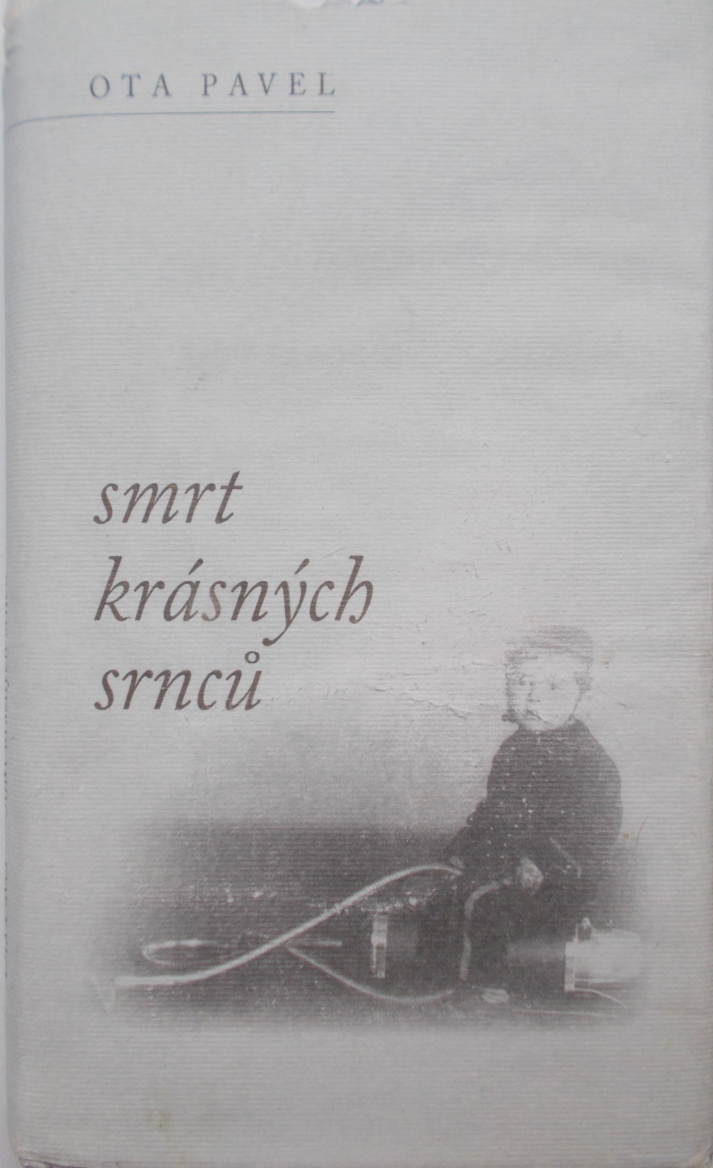 Smrt krásných srnců