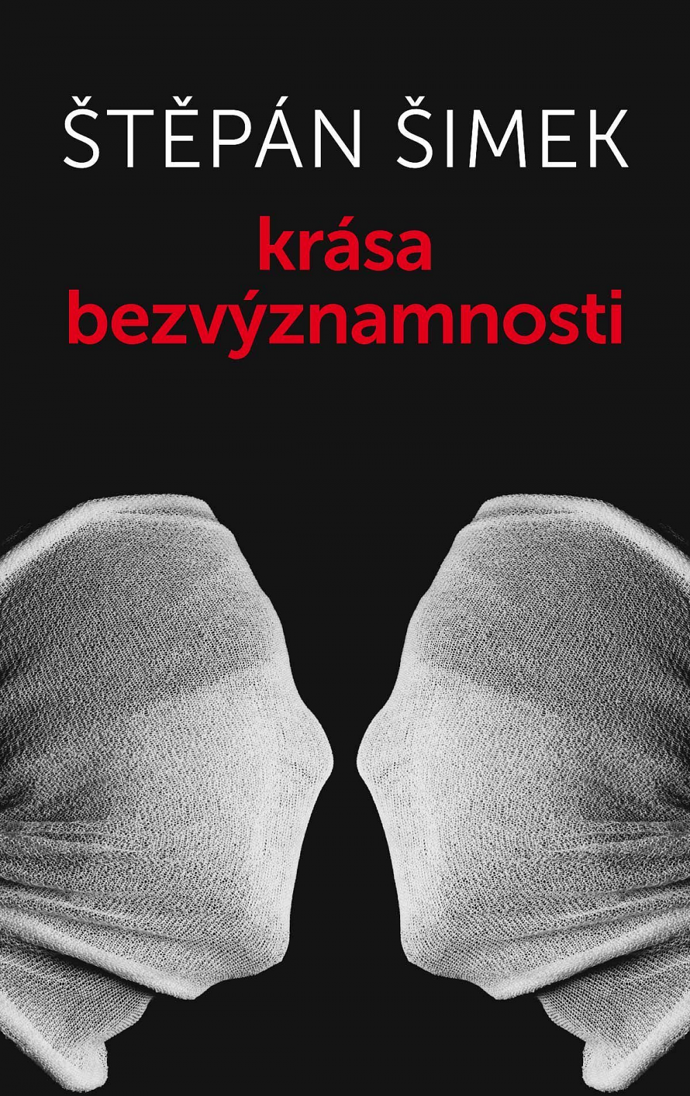 Krása bezvýznamnosti