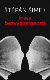 Krása bezvýznamnosti