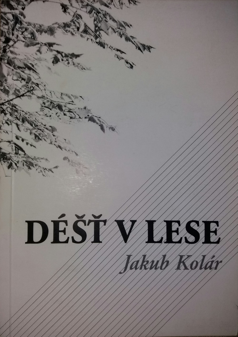 Déšť v lese