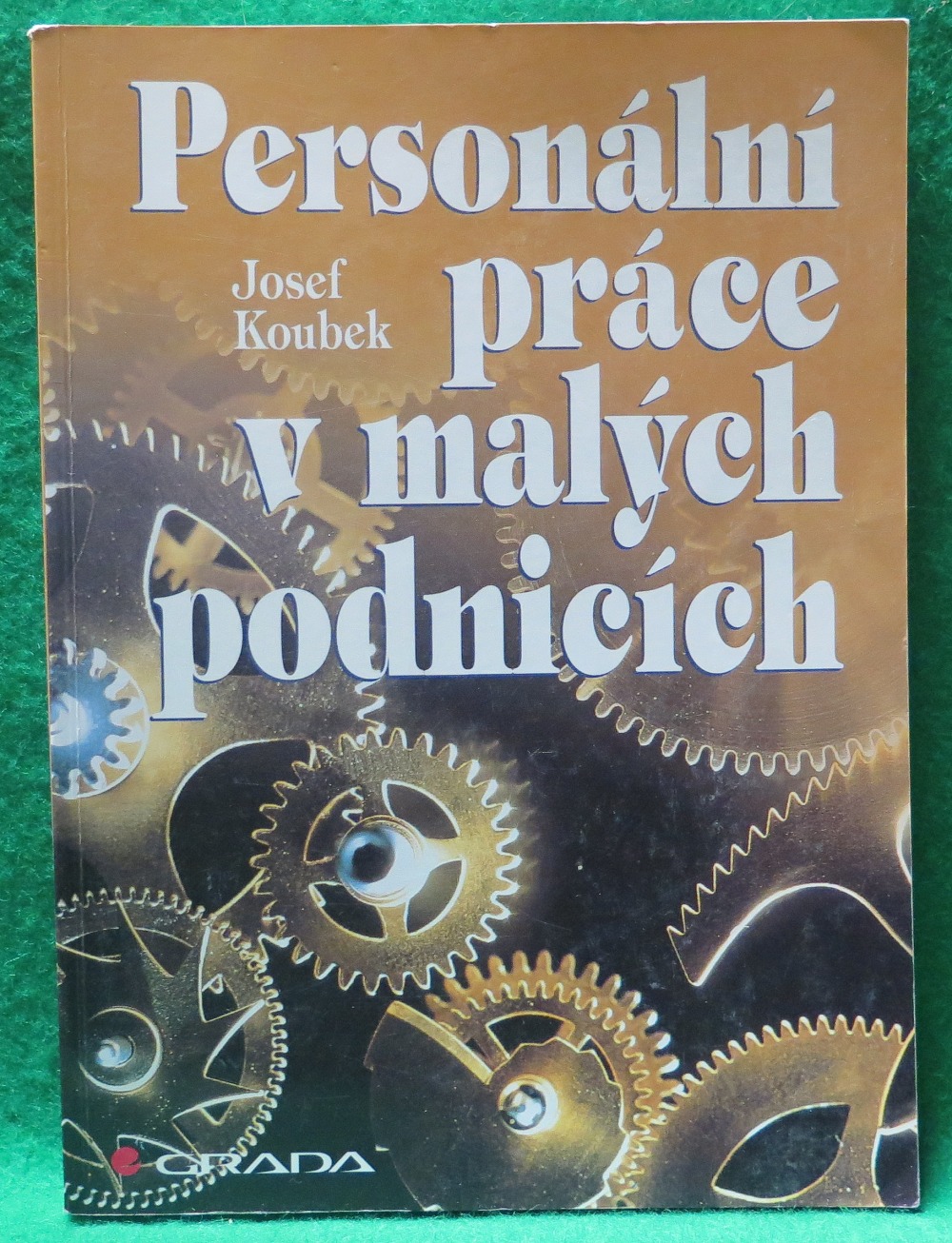 Personální práce v malých podnicích