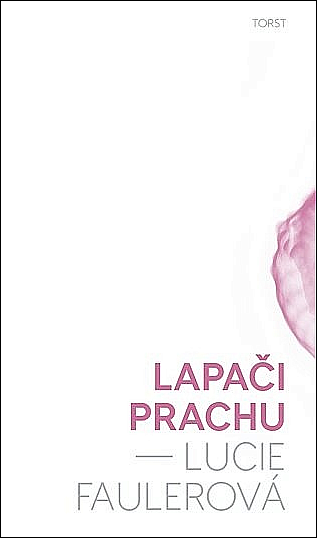 Lapači prachu