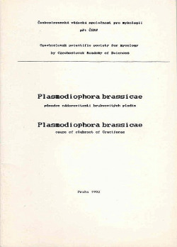 Plasmodiophora brassicae původce nádorovitosti brukvovitých plodin