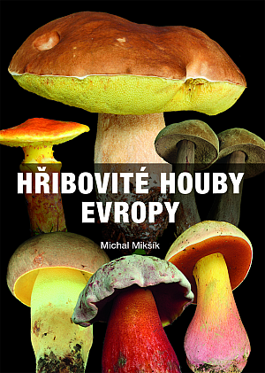 Hřibovité houby Evropy