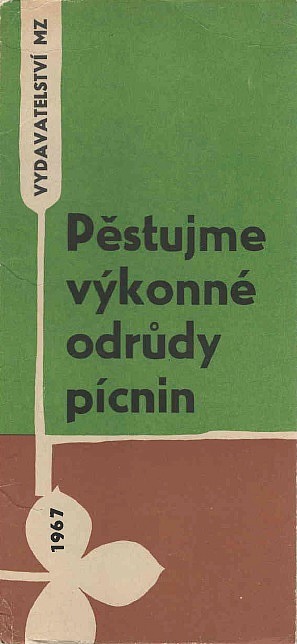 Pěstujeme výkonné odrůdy pícnin