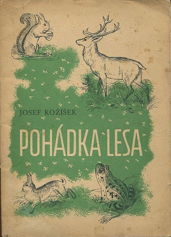 Pohádka lesa