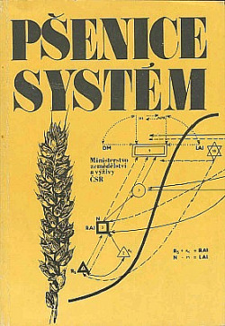 Pšenice - systém