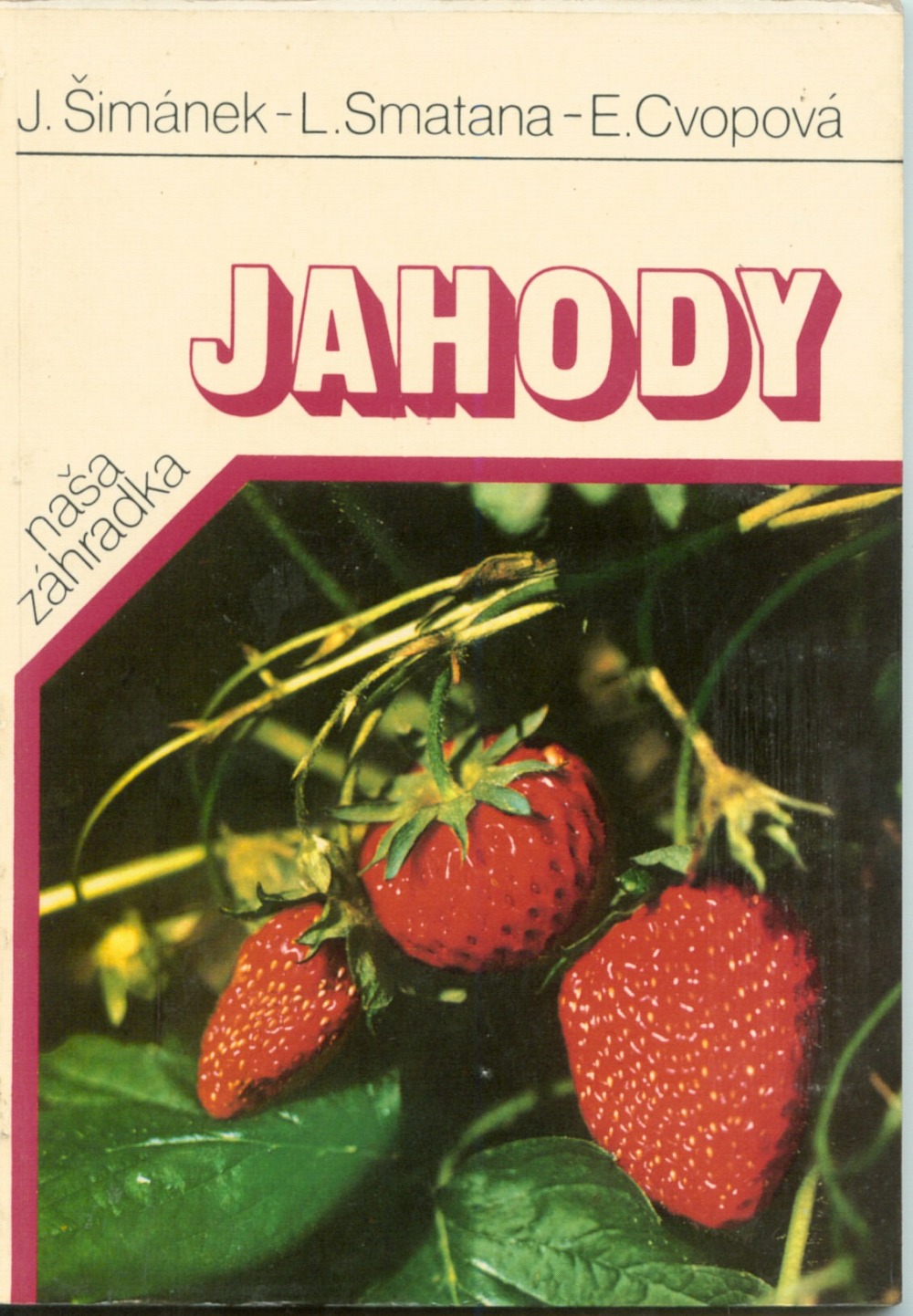 Jahody