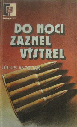 Do noci zaznel výstrel