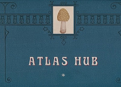 Atlas hub