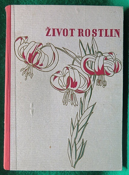 Život rostlin, 2. díl