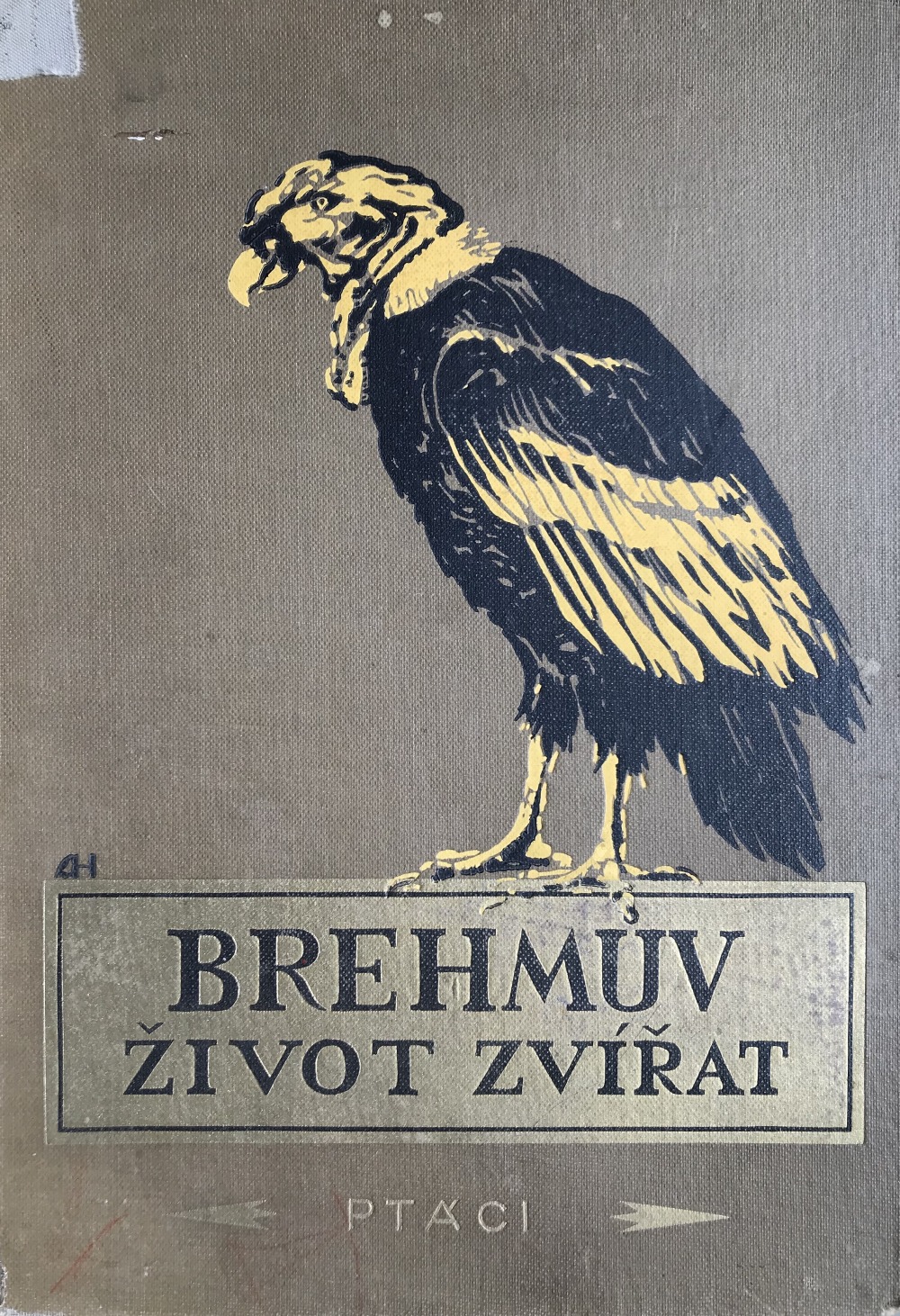 Brehmův život zvířat 5. díl – Ptáci