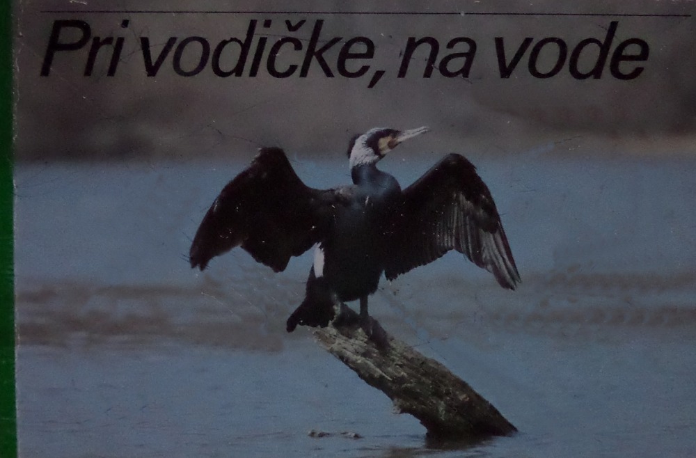 Pri vodičke, na vode