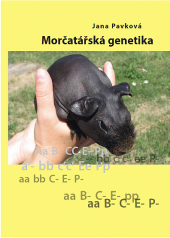 Morčatářská genetika