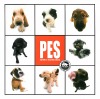 Pes - Artlist Collection