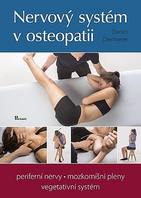 Nervový systém v osteopatii