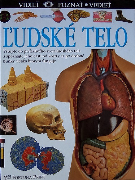 Ľudské telo