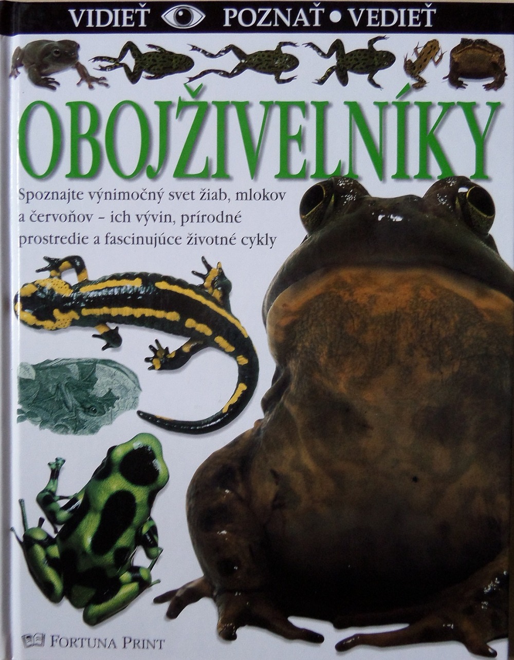 Obojživelníky