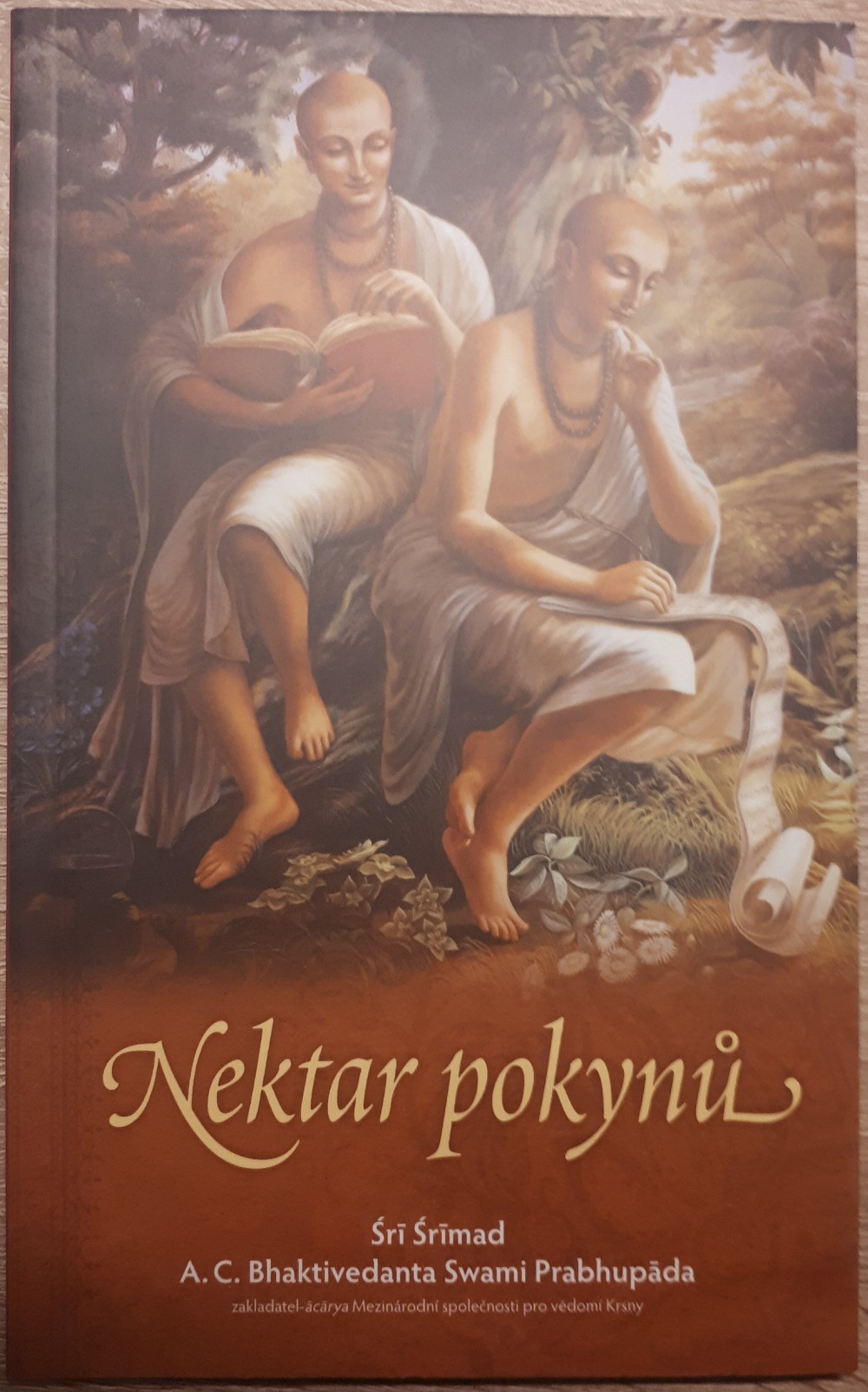 Nektar pokynů