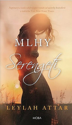 Mlhy Serengeti