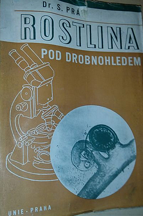 Rostlina pod drobnohledem