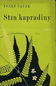 Stín kapradiny