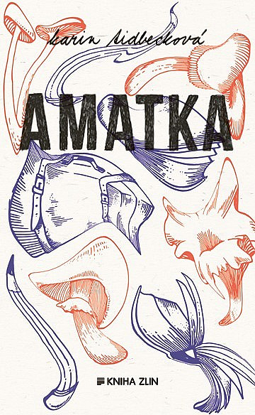 amatka karin tidbeck