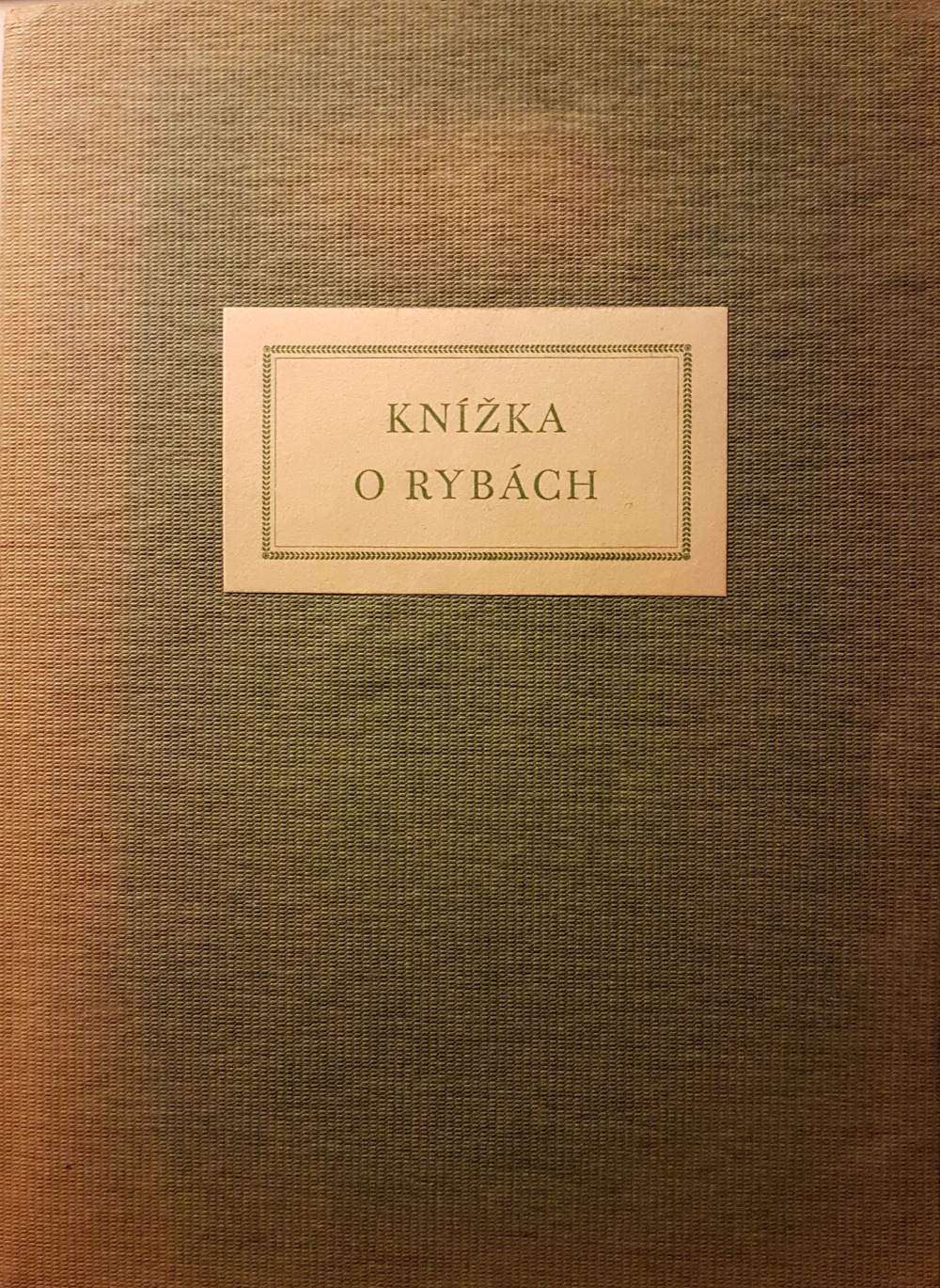 Knížka o rybách