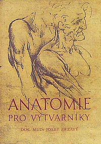 Anatomie pro výtvarníky