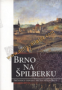 Brno na Špilberku