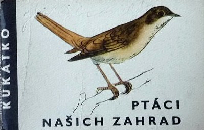 Ptáci našich zahrad