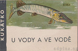 U vody a ve vodě